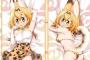 セフレ5人いるが質問ある？