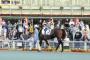 【地方競馬が復活！】スマホで馬券、売上高４７％増