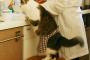 【画像】お母さんのお手伝いをしてくれてる猫さん