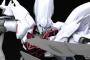 『ガンダムBF バトローグ』より純白の「ヴァイスシナンジュ」＆「ヴァイスバーザム」がガンプラ化！