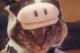 【画像】猫さんがハロウィンに向けてアップを始めたようです・・・