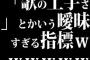 「歌の上手さ」とかいう曖昧すぎる指標ｗｗｗｗｗｗｗ