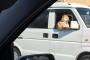 【衝撃】ついに自力で運転するイッヌが現るｗｗｗｗｗｗｗｗｗｗｗｗｗｗｗｗｗｗｗｗｗｗｗｗｗｗ