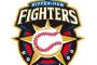 斎藤佑樹、大谷翔平あたりで日ハムファンになった人が知らなそうな日ハムの古い選手ｗｗｗｗ