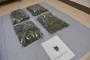 【北海道】野生大麻を使用目的で刈り取る事件が続出ｗｗｗｗｗｗｗｗ