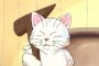 【朗報】実写版カリン様にしか見えない猫が現れるｗｗｗｗｗこれは似過ぎｗｗｗｗｗｗｗｗｗｗｗｗｗｗｗｗｗｗｗｗｗ