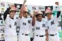 外国人獲得が上手い球団ランキングwwwww