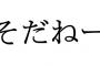「そだねー」の反対語ｗｗｗｗｗｗｗｗｗｗｗｗ
