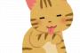 【画像あり】背面がほぼ犬な猫が発見されるｗｗｗｗｗｗｗｗｗ