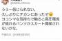 カービィの美人声優、痴漢にあって怒るｗｗｗ