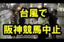 【悲報】明日の阪神競馬開催中止！！