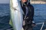 藤浪晋太郎さん、浜地を釣り上げる