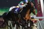 ●競馬総選挙があったら？