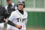 【阪神】今成→球団職員　緒方→球団職員　小豆畑→ブルペン捕手　西岡→未定
