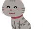 これが本家『猫なで声』だぞ…たまんねぇな…（※動画あり）