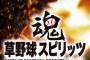 最近の若者の草野球離れが問題になってるぞ