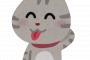 【画像あり】獣医に「ただの甘えですね」と言われた猫がコチラｗｗｗｗｗｗ