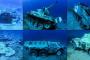 海底に戦車やヘリなど19の軍用兵器を設置した水中軍事博物館がオープン…ヨルダン！