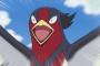 ホウエン産のひこうポケモン、ハズレがない 	