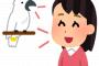 俺「今度行く映画のタイトル何だっけ？」彼女「前に言ったとこじゃ嫌だった？」俺「いや、そうじゃなくて」彼女「」