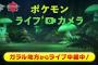 ポケモンライブカメラ、24時間やって新ポケはポニータのみ