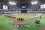 【悲報】野球人気なし…韓国で行われたプレミア12、観客席はガラガラ。苦悩深まる 	