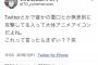 【悲報】超有名ユーチューバー「Twitterで攻撃的な奴は大体アニメアイコン」発言で炎上 	