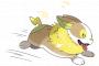 ポケモンのワンパチがなぜ人気あるのか真剣に考える