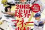 ワイ.500 (504-252) 180本 203打点←こいつの年俸が下げられる理由