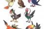歴代序盤鳥ポケモン、全員強かった