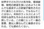 【悲報】RADWIPSさん「コロナで地球が元気になってる、やっぱ一番の害悪は人類。つれえわ…」