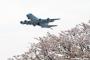 「新型コロナとたたかうひとへ」…海上自衛官が勤務する各地における桜の風景をお届けします！