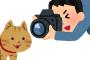 【画像】猫見つけるの10分かかったわｗｗｗｗｗｗ