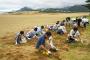 【画像】鳥取砂丘さん、草むしりしないと草原になる模様ｗｗｗｗｗｗｗ