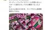 【朗報】デイリーヤマザキさん、有能