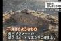 田んぼから長さ2メートルの不発弾のようなもの、自衛隊に処理を要請…高知県安芸市！