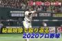 今週のプロ野球番組 一覧