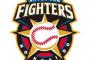 日本ハムファイターズの卒業生(現役)で打線組んだ