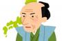 伊能忠敬さん、全国を歩いて地図を完成させてしまう