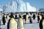 ペンギン←こいつが南極で覇権取れた理由