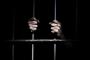 【超衝撃】 日本の刑務所に入っている人たちの学歴構成がヤバイ!! （画像あり）