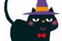 【判明】魔女の宅急便でキキが突然猫の声が聞こえなくなった理由ｗｗｗｗｗｗｗｗｗ