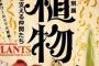 特別展「植物　地球を支える仲間たち」の音声ガイドに鬼頭明里
