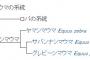 シマウマと言っても現存種だけで3種存在していてそれぞれ別の種類の動物