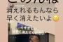 【闇画像】自殺する直前の木村花のインスタ、病みすぎてる