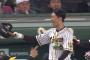 近本、10号スリーラン！ 甲子園で胴上げ阻止弾