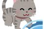 猫とかいう馬鹿なのにプライドが高い生き物