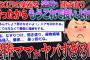 【2ch修羅場スレ】泥棒ママに窓ガラス割られて不法侵入され、襲われた話【ゆっくり解説】