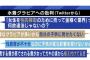 【悲報】まんさん「水着グラビアは性的搾取をしている違法業界」