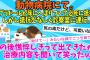 【２chスレ】【なごむ】動物病院にて。ラブラドールが待合室に入った瞬間、床にへばりついた。抵抗むなしく診察室に連行。その後、憔悴しきって出てきたが、治療内容を聞いて笑ったw